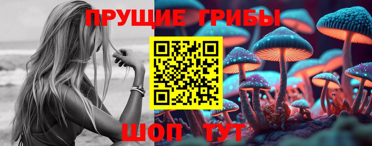 Псилоцибиновые грибы Psilocybe  Вход с VPN  Гатчина 