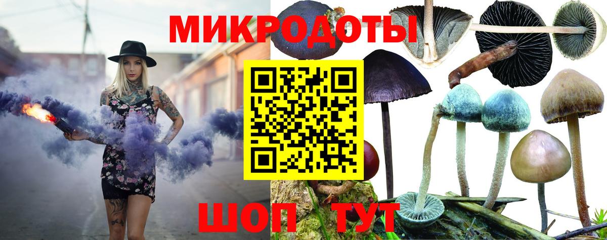 Псилоцибиновые грибы Psilocybine cubensis Гатчина